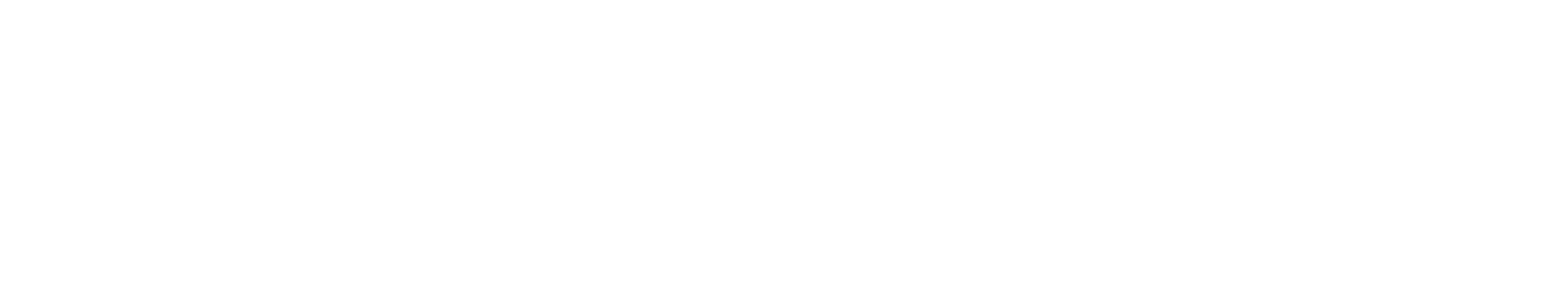 Raider Realty logo
